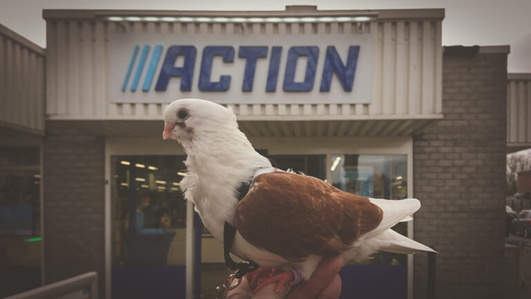 Sophie The Pigeon in front of a store Called Action