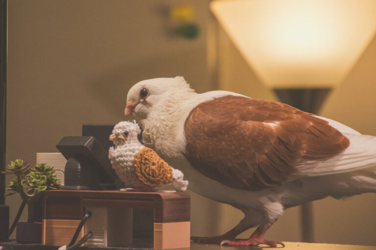 I got a Mini Me (Crochet Sophie The Pigeon)