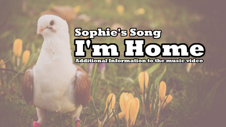 Sophie’s Song – I’m home (“Appendix”)